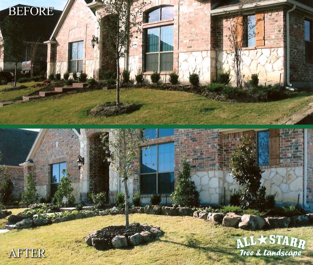 All Starr Tree & Landscape, Inc.
